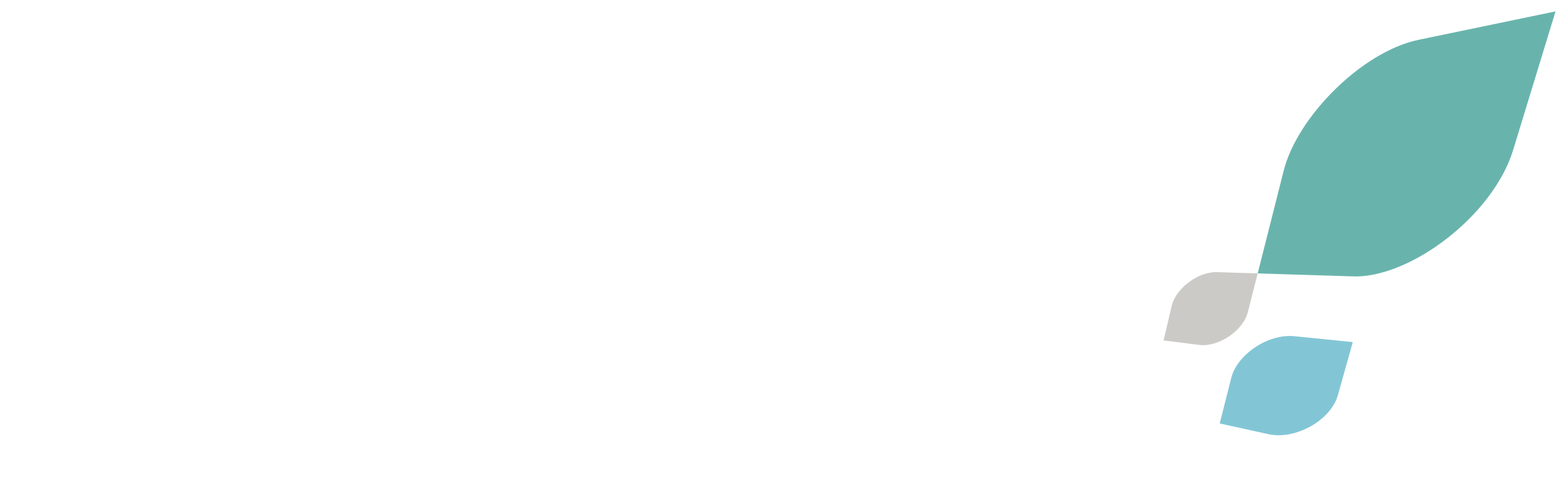 Mobility Resort Motegi