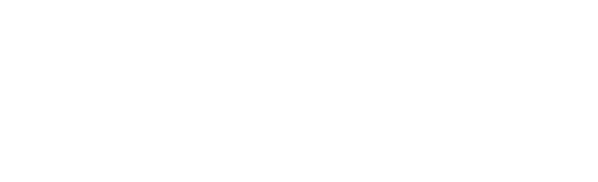 PFAFF Motorsports